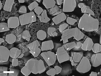 һȫ̑B(ti)늳Oϵx