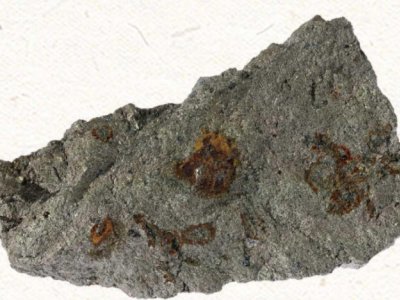 䆡@N(zhn)ԵVa(chn)ɲރH1꣬90%