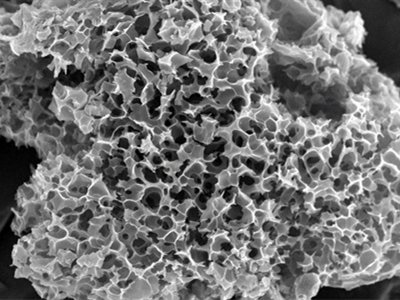 ̼ϣƂ似g(sh)(yng)ǰcδչ