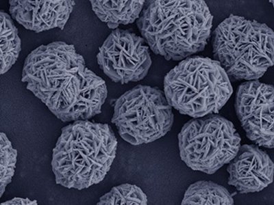 ҡa÷۲ġ֮ЂɷԪǰw