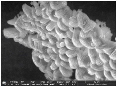 ëF(tun)̼}ô(li)ʲô