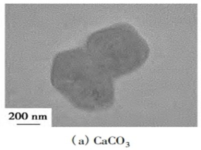 ̼}ͺϹܲϵĘ(gu)cܻо