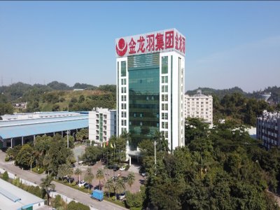 ͶY12|ԪͶY̑B(ti)늳P(gun)Ia(chn)(xin)(xing)Ŀ