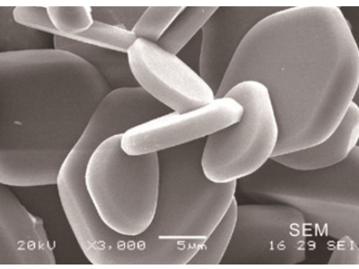 ӴaXR²ľo׷a(chn)څ